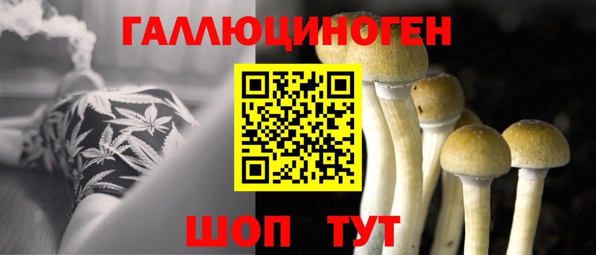 дарнет шоп  Псилоцибиновые грибы Psilocybine cubensis  Псилоцибиновые грибы мухоморы  Вход с VPN  Сальск 